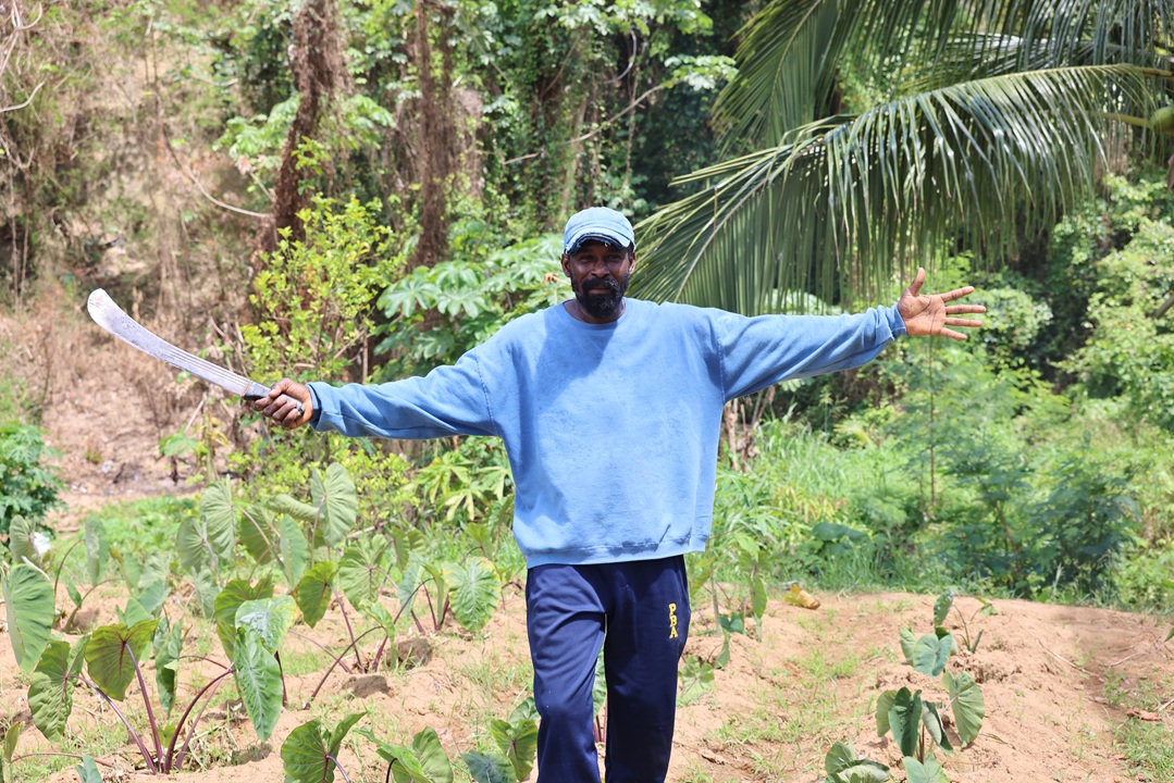 Saint Lucian farmer with fresh produce